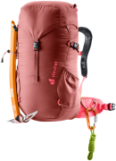 Dětský batoh DEUTER Climber 22 redwood/hibiscus